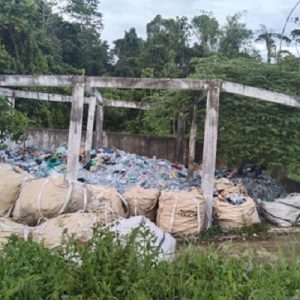 Sampah Menumpuk, Hutan di Papua Barat Berpotensi Tercemar