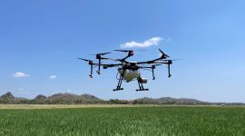 Penggunaan Drone Spraying di Lahan Pertanian. - Foto Indico