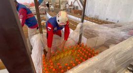 Relawan dari Indonesia Eko Sulistio menyiapkan bantuan bahan pokok untuk rakyat Palestina.