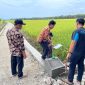 Foto: Ketika Pengerjaan Proyek Berlangsung Sumber/Pemdes Bonjok