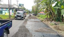 Sumber/ Istimewa